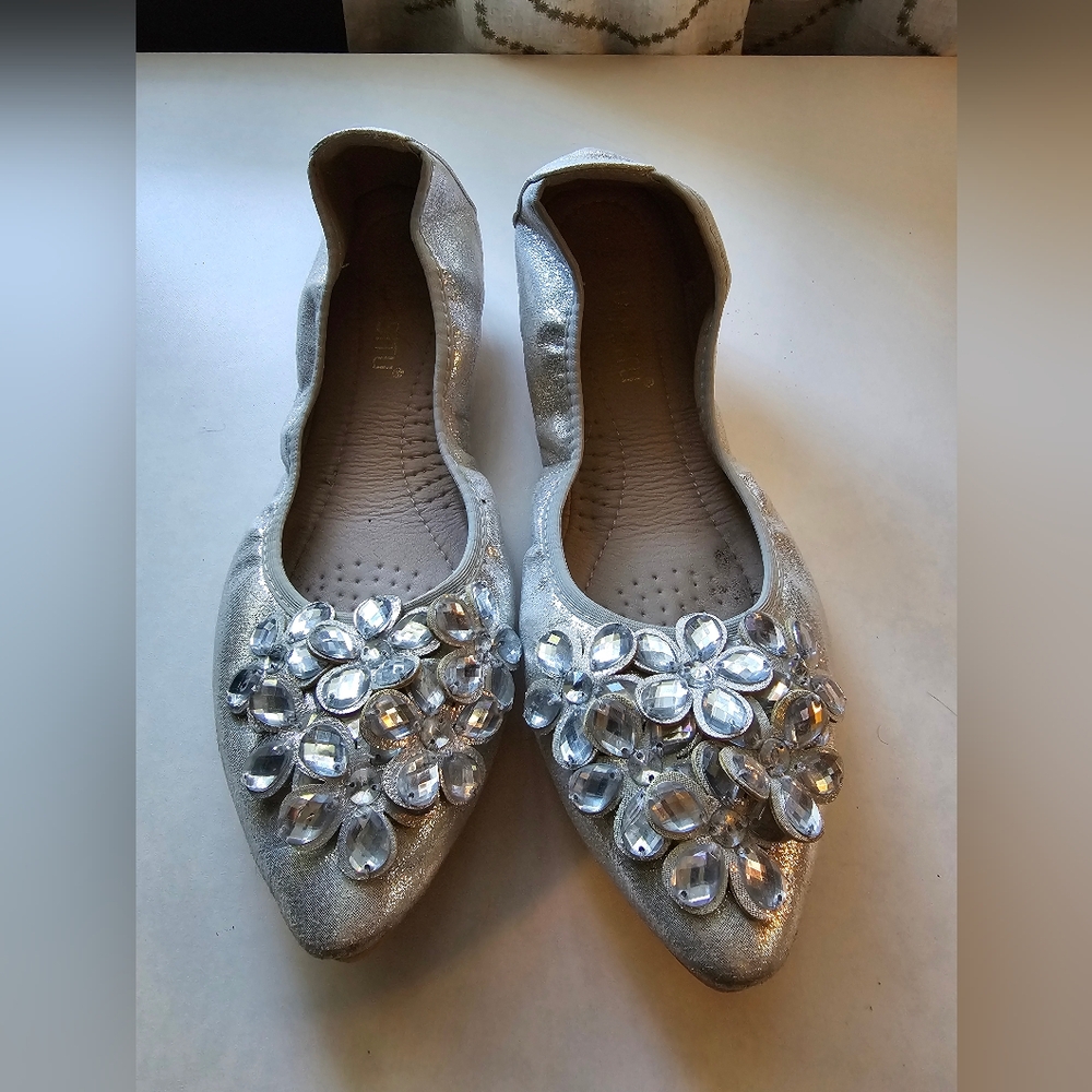 Fancy silver flats